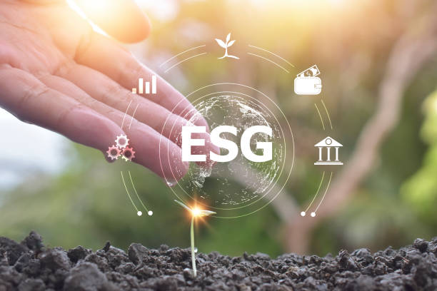 istock Tree seeding growth in concept ESG Environmental Social Governance 1429054510