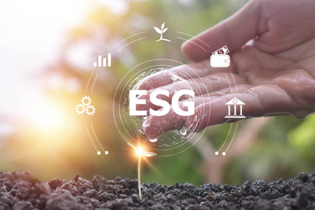 istock Tree seeding growth in concept ESG Environmental Social Governance 1429054543