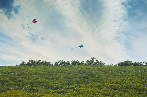 sky landscape background with kites on a hill