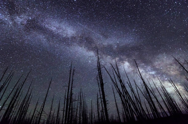 Milky Way in Yellowstone