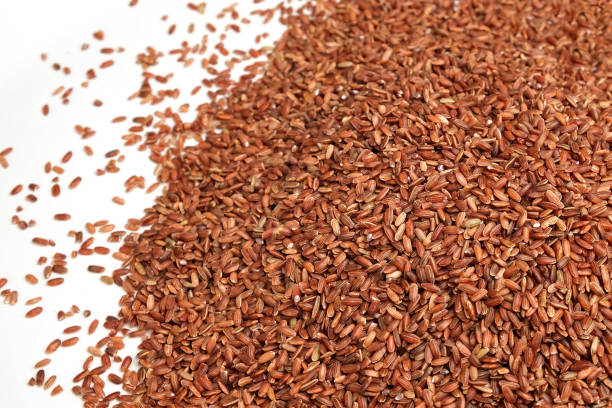 istock Uncooked Red Rice Wallpaper. Long Brown Rice Rotating. Close Up. Grains fall poured a stack. World crisis, export, import. Harvest problems, sanctions. Increase prices and shortages of food supplies 1429060877