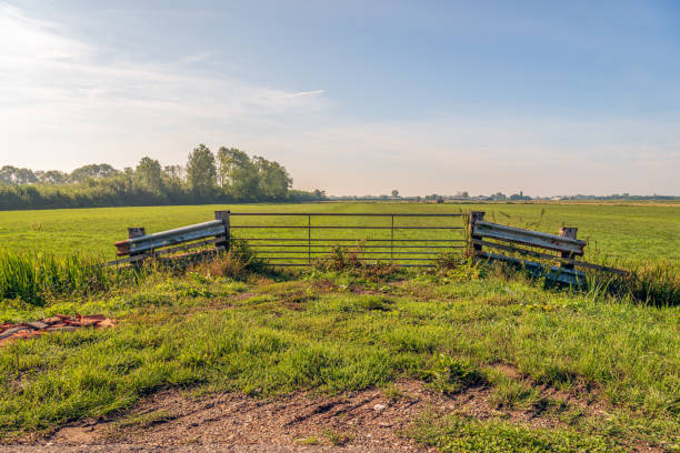 istock Closed iron gate between two heavy wooden beams 1429062203