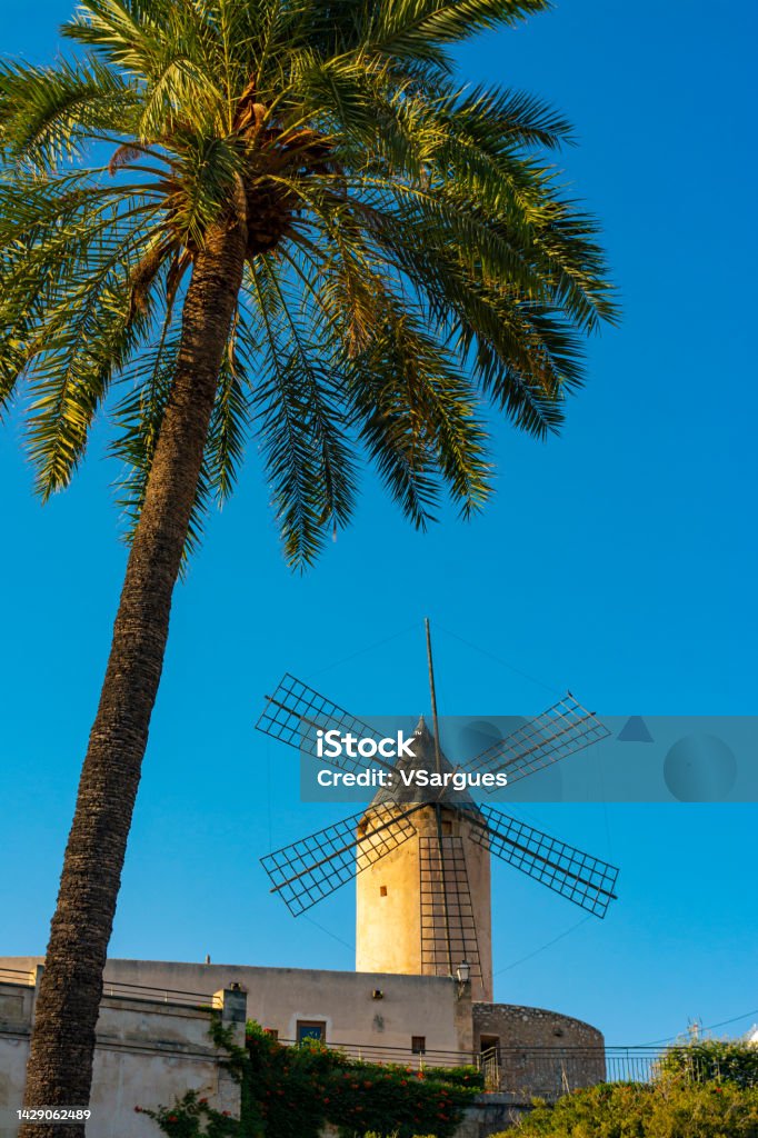 Windmill of El Jonquet in Palma Ancient windmill of El Jonquet in old town of Palma, Mallorca, Spain, with a palm tree at foreground Agricultural Equipment Stock Photo