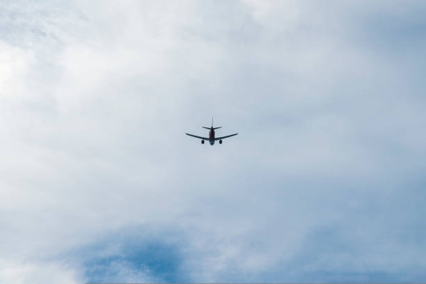 the plane is flying against the blue sky. photo