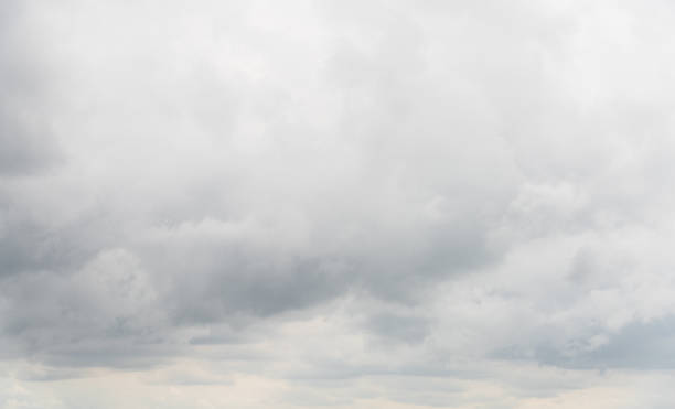 Bright overcast sky background Background of a bright sky, on an overcast day in late summer. Fog stock pictures, royalty-free photos & images