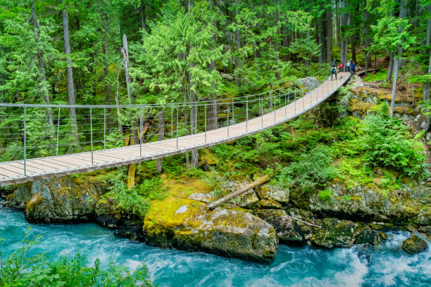 istock Suspension Bridge Whistler BC Canada Train Wreck 1429067185