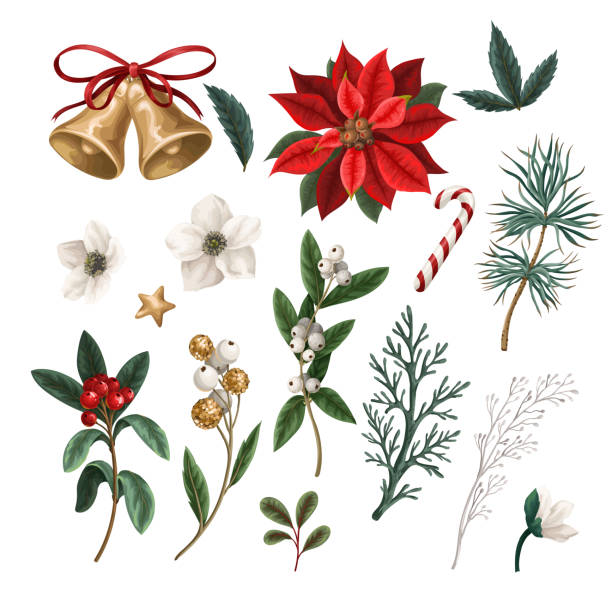 illustrazioni stock, clip art, cartoni animati e icone di tendenza di piante botaniche natalizie, fiori e campane isolate. stampa tessile o carta da parati. - poinsettia