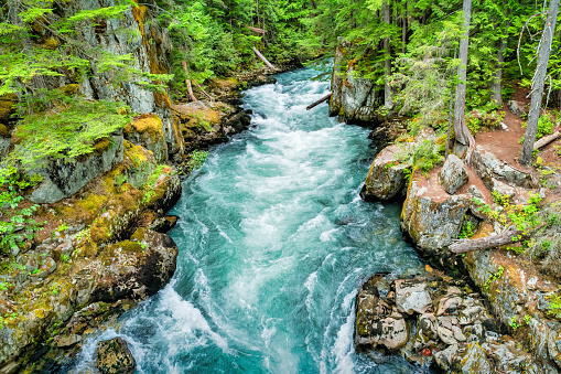 Cheakamus River in the forest in Whistler BC Canada