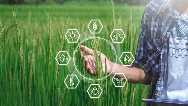 istock Smart farming concept. Farmer with technology digital icons, Agriculture modern idea, Agricultural management, startups, improvements. Innovation and development. 1429073591