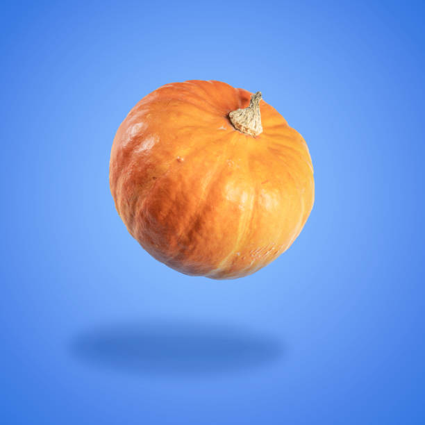 istock One pumpkin levitating over a blue background. Halloween and Thanksgiving background 1429073792