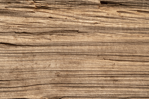 Close view of wood grain