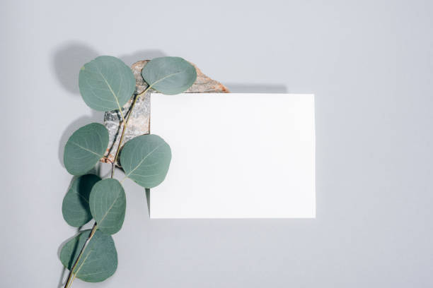 istock White blank sheet on natural stone and eucalyptus leaves on gray background. Top view, flat lay, mock up 1429075952