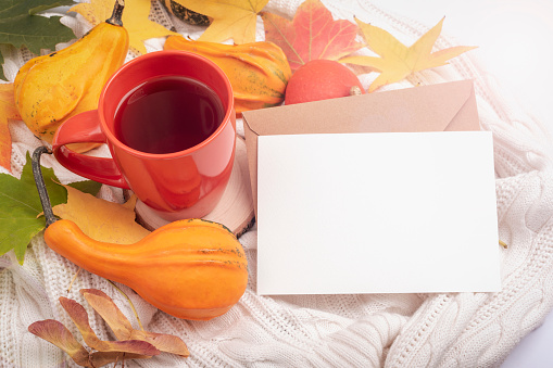 Blank card with envelope, cup of tea, orange pumpkins and autumn leaves on white knitted cloth. Thanksgiving, fall concept. Top view, mockup.