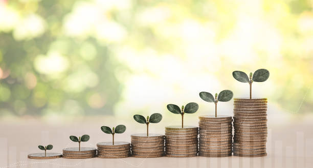 istock Coins stack and leaf with  line graph  business connect on nature background, Saving  ideas and  investment budget, Business saving money concept,Save money for prepare in the future. 1429078699