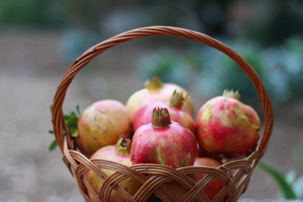 istock Basket of Pomegranates 1429081166