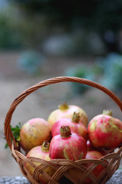 istock Basket of Pomegranates 1429081179