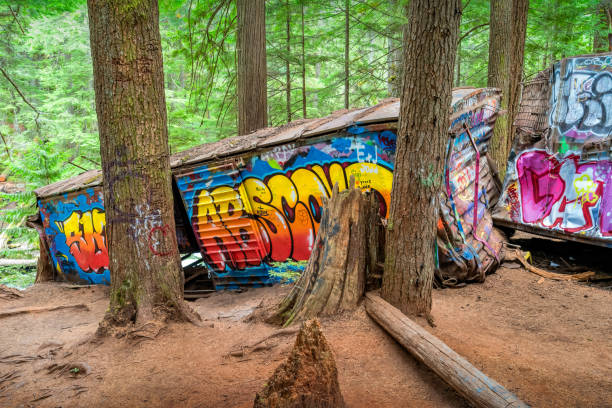 The Train Wreck site in Whistler BC Canada on a cloudy day. An old train crash site which became a popular tourist attraction over the years and the box cars have been painted over by unknown artists.