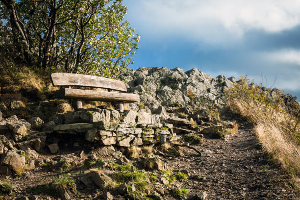 Wooden bench on mountain top with stony path