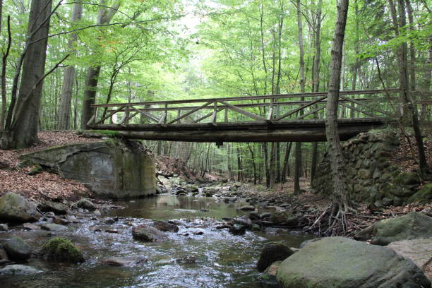 istock Bridge over the Ecker River | Views from the Eckertal in the northern Harz Mountains 1429086803