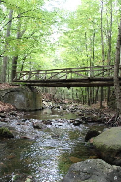 istock Bridge over the Ecker River | Views from the Eckertal in the northern Harz Mountains 1429087021