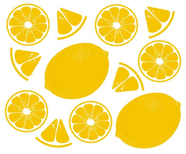 Web Lemon pattern, citrus background, simple flat design, vector male reproductive system cross section stock illustrations