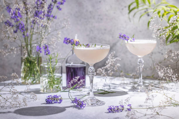 Two Elegant glasses of Lavender Cocktail or mocktails surrounded by ingredients and fresh lavender and gypsophila flowers on gray table surface stock photo