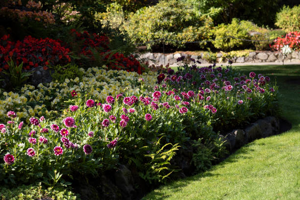 istock Butcher Garden in Victoria island 1429097270