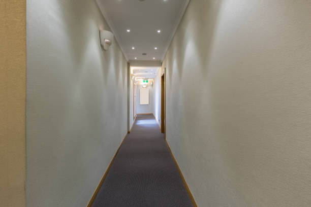 istock Interior of a hotel corridor with doors 1429097296