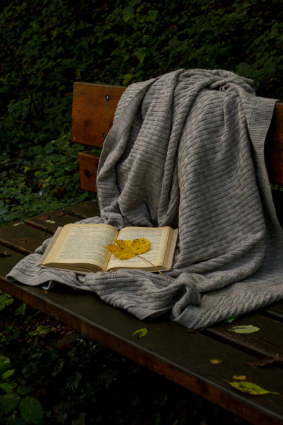 istock An open book and a warm blanket on a bench in the autumn forest 1429104361
