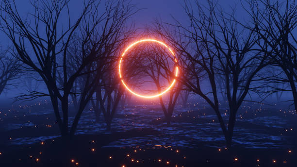 istock Mystery foggy forest with glowing frame 1429105486