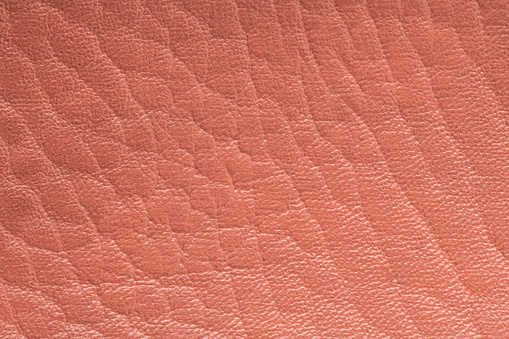 Coral color artificial or synthetic leather background with neat texture and copy space, pink fabric sample with leather-like finish aimed for upholstery, fashion, sewing or footwear projects