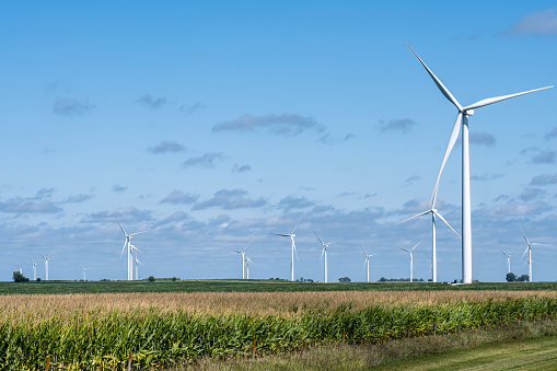 Wind Turbines in rural Iowa