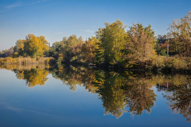 istock Shore of a lake with a tree against the sky 1429107370