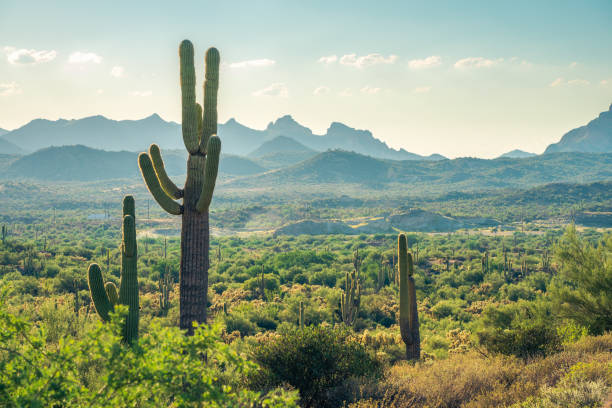 Overlooking Apache Junction from Superstition Mountains stock photo