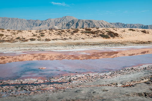 Pink lake in Ras al Khaimah a natural phenomenon occurring in the water near seaside in the United Arab Emirates north emirate