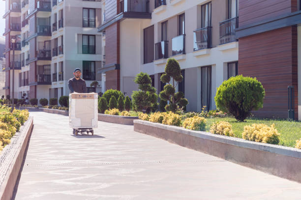 Cargo Delivering Delivery Person, Cargo Container, Hand Truck, Delivering, Door mover delivery person box hand truck stock pictures, royalty-free photos & images