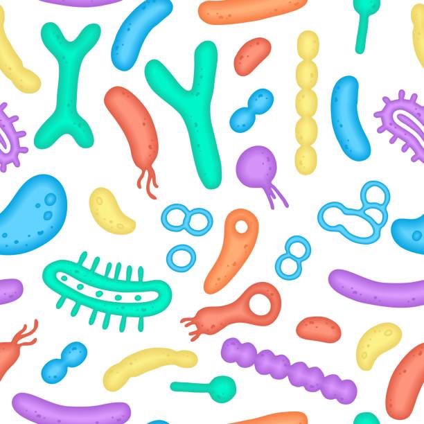 ilustrações, clipart, desenhos animados e ícones de o microbioma humano é um padrão perfeito. imagem vetorial. bifidobacteria, lactobacil. bactérias de ácido láctico. ilustração em um estilo plano. - staphylococcus aureus resistente à meticilina