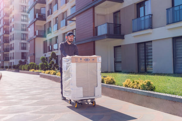 Washing Machine Delivering Delivery Person, Cargo Container, Hand Truck, Delivering, Door mover delivery person box hand truck stock pictures, royalty-free photos & images