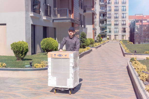 Dishwasher Delivering Delivery Person, Cargo Container, Hand Truck, Delivering, Door move fridge stock pictures, royalty-free photos & images