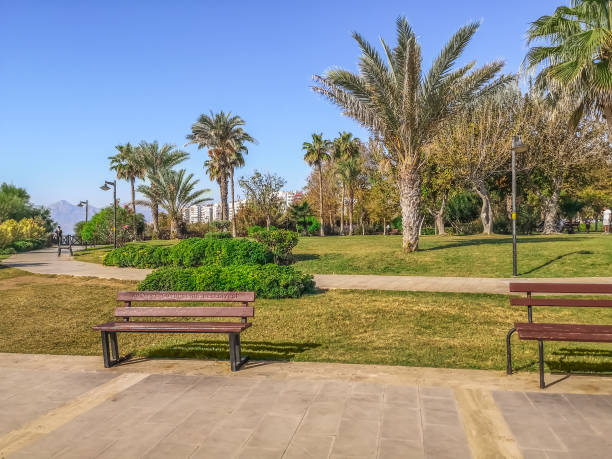 istock Benches in a clearing in Duden Park in Antalya, Turkey 1429123408