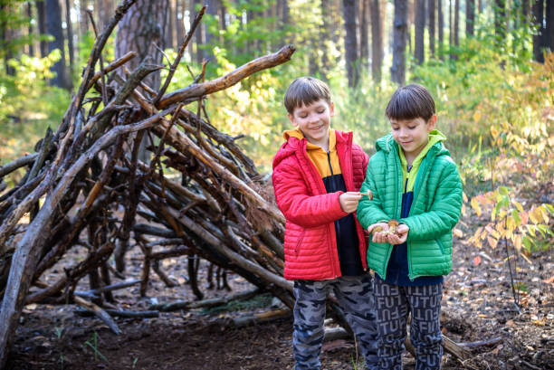 istock Two sibling brothers boys in the spring or autumn pine forest pl 1429127139