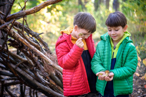 istock Two sibling brothers boys in the spring or autumn pine forest pl 1429127168