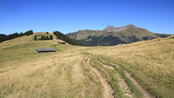 Foot path on Mount Wispile, Gstaad. stock photo