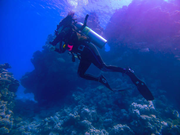 istock Lady diver in the red sea 1429128038