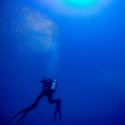 wide angel shot of bait ball at scuba dive around Curaçao /Netherlands Antilles