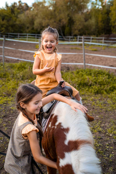 две маленькие девочки катаются и гладят пони - horse child pony little girls стоковые фото и изображения