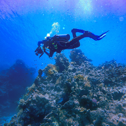 Diving in the crystal clear waters of Sharm el Sheikh in Egypt. The diver is taking photos between the corals