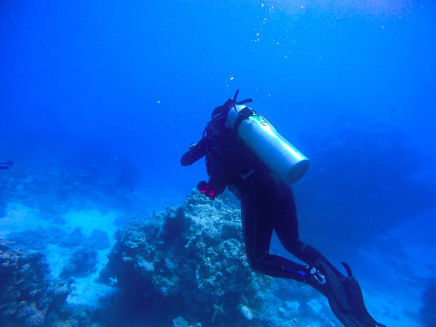 istock Diver in the red sea 1429128562