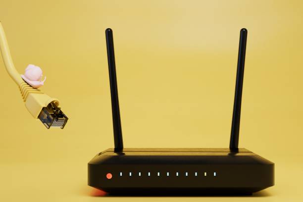 istock slow home internet. Internet cable on which sits a snail going to a Wi-Fi router. 3D render 1429129625