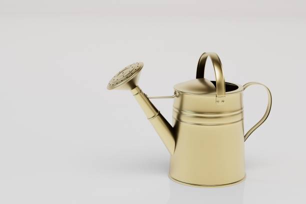 istock plant watering concept. aluminum watering can on a white background. copy paste, copy space. 3d render 1429132107